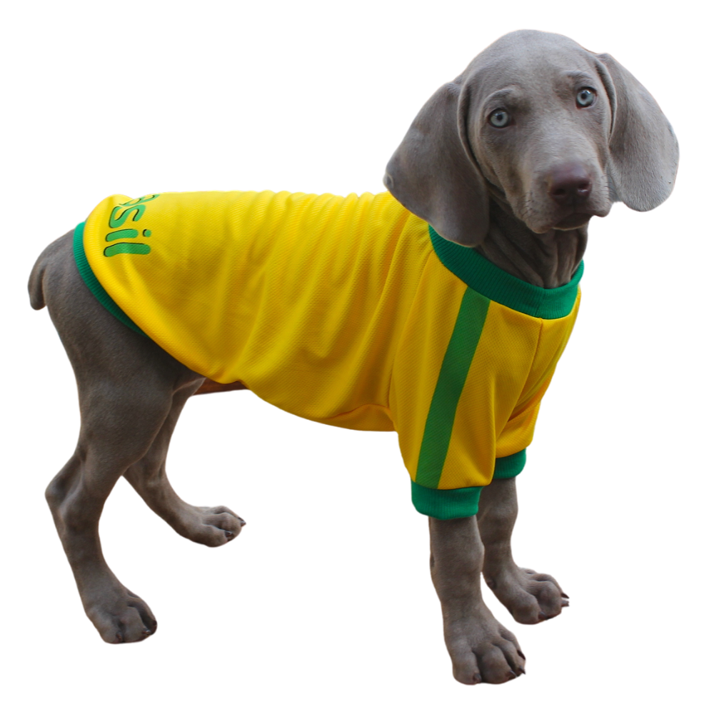 Stylish Brazil Soccer Dog Jersey for Your Furry Friend - Comfortable & Durable!