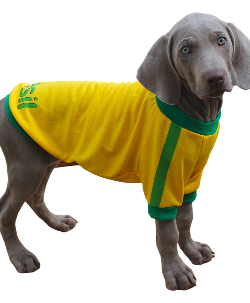 Stylish Brazil Soccer Dog Jersey for Your Furry Friend - Comfortable & Durable!