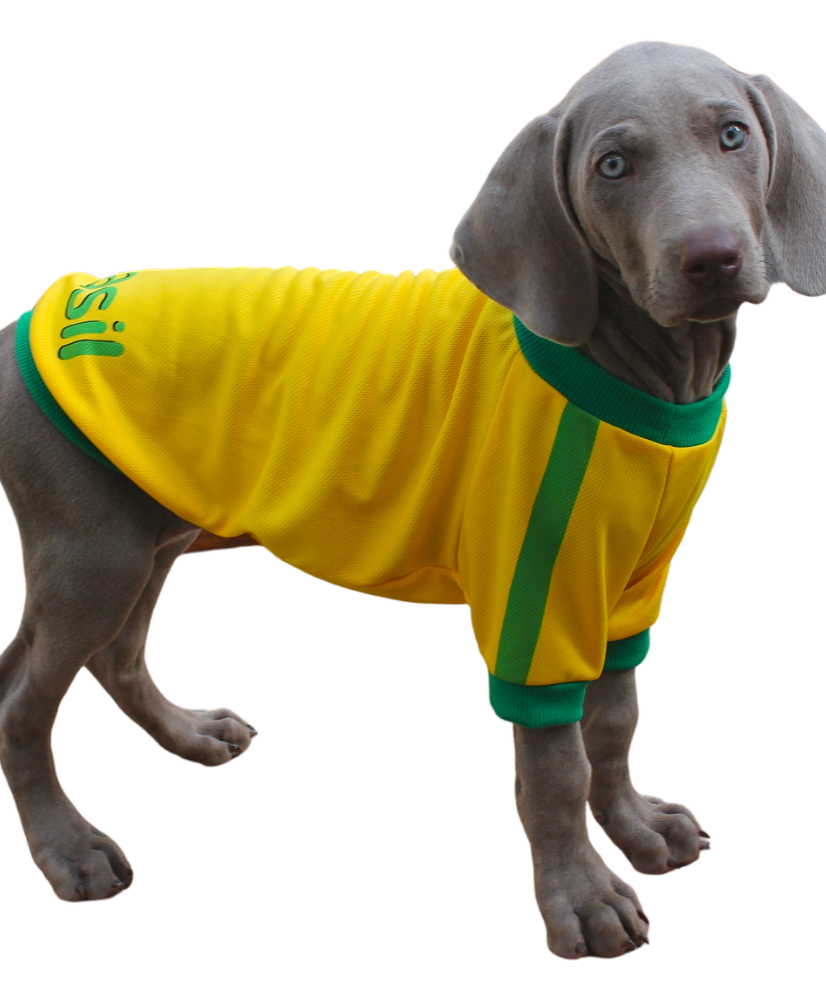 Dog jerseys soccer clearance